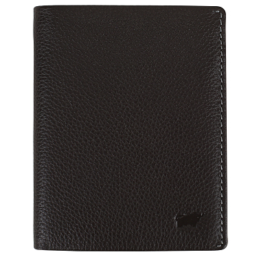 Braun Buffel